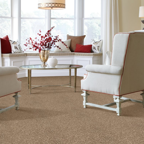 Living room with comfy carpet - Appealing Glamor-Harmonious