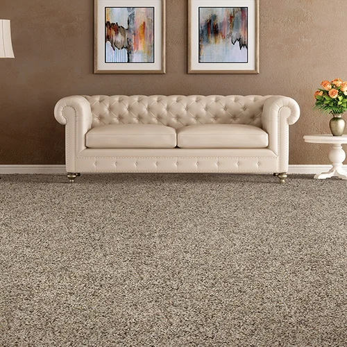 Quality Carpets providing stain-resistant pet proof carpet in Munster, IN