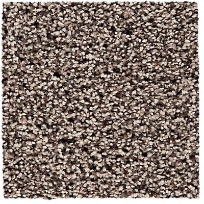 SmartStrand Carpet color Twill with ColorMax