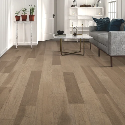 Quality Carpets providing pet-friendly waterproof vinyl flooring in Munster, IN