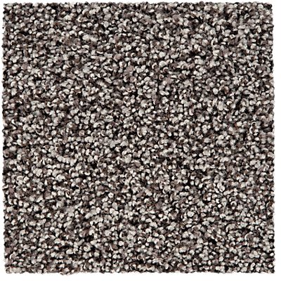 SmartStrand Carpet color Flannel with ColorMax